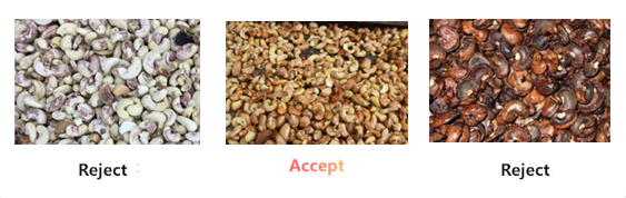 Cashew Nut Optical Color Separator2