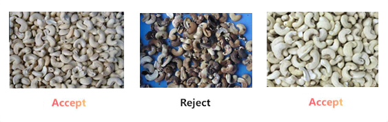 Cashew Nut Optical Colour Separator1