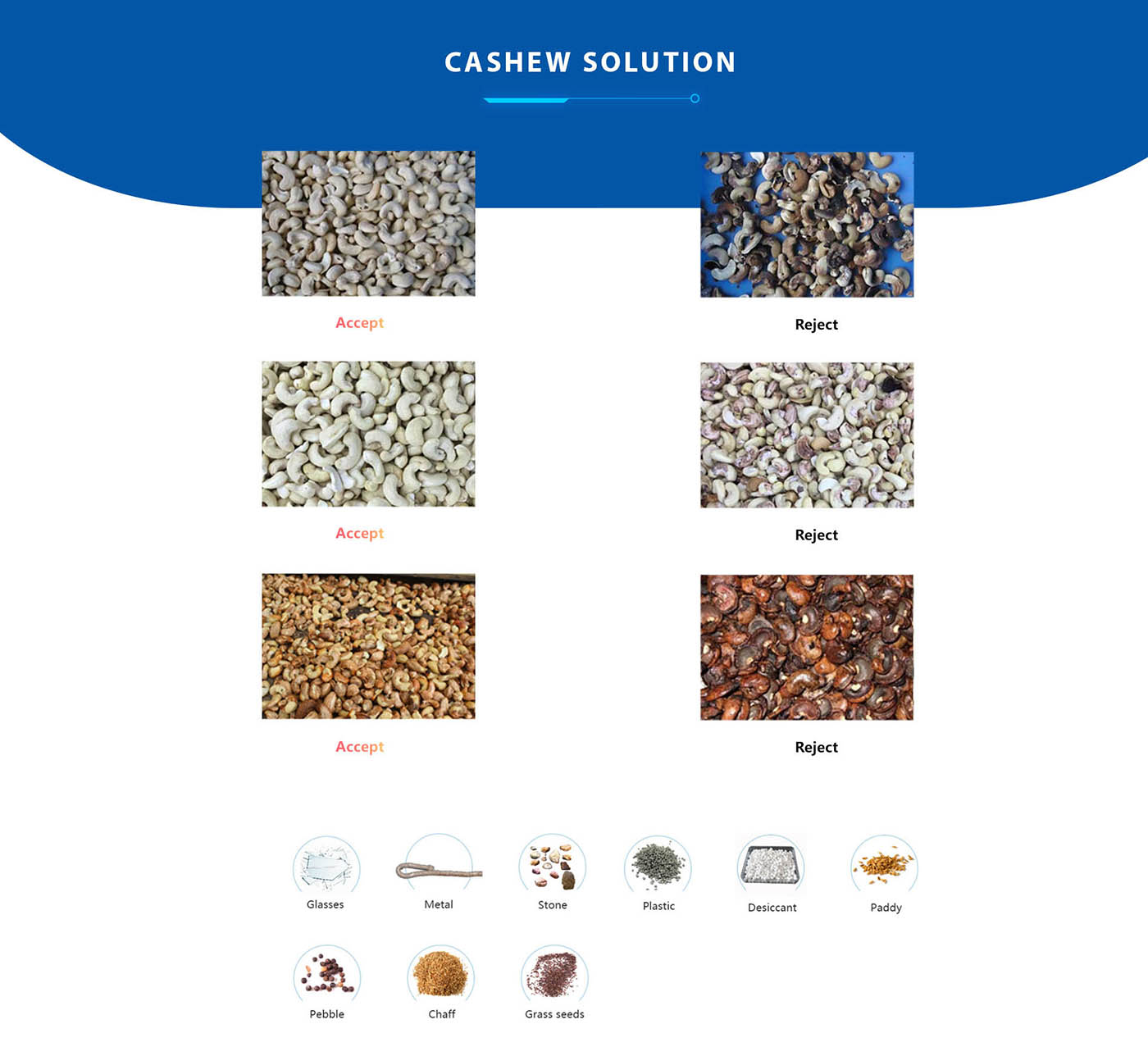 Cashew solution