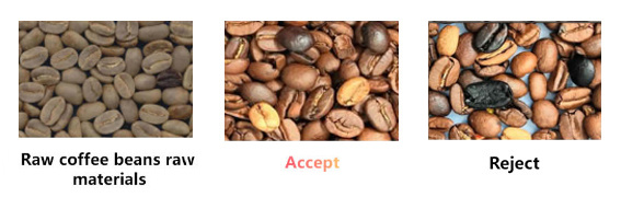 Coffee Bean Colour Separation Machine4