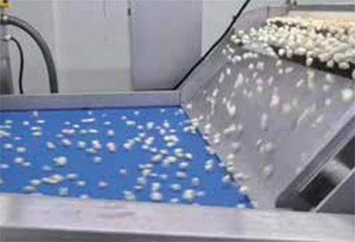 Machine Anatomy & Technology7