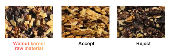 Nuts Peanut Walnut Cashew Nut Color Sorter2 walnut1