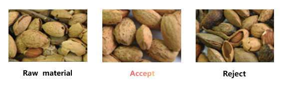 almond 1