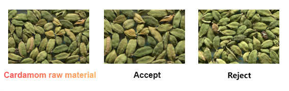 cardamom